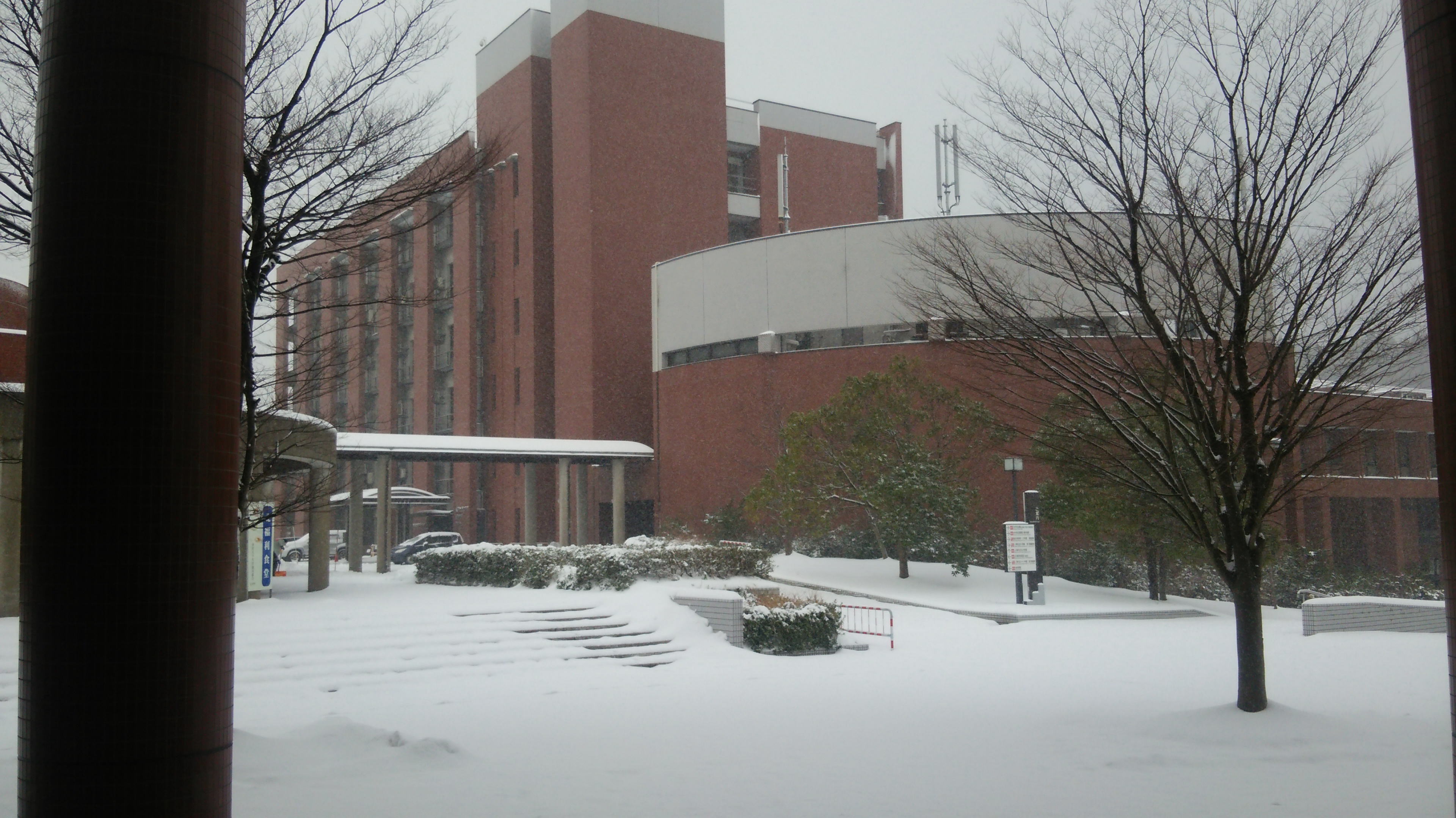 金沢大学